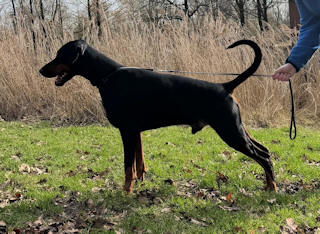 Bruce